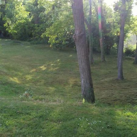 Bed And Breakfast Sile E Natura Sant'Elena di Silea ภายนอก รูปภาพ