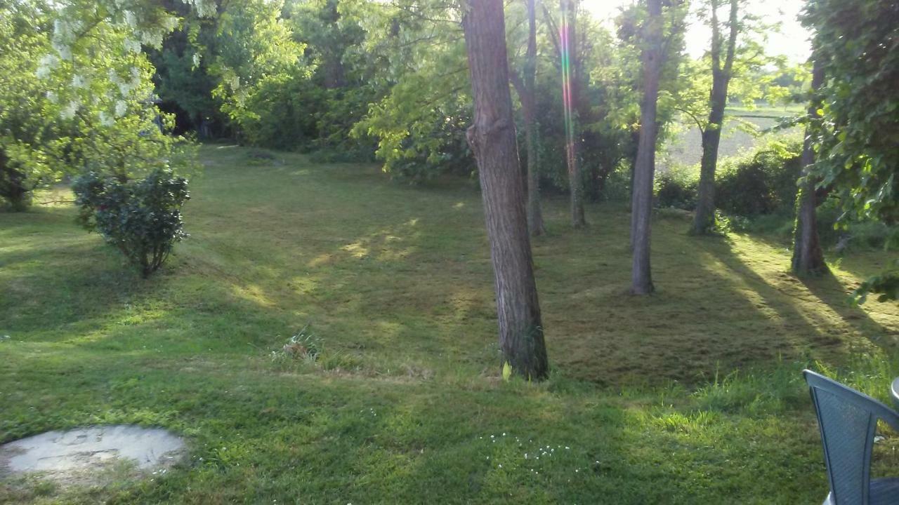 Bed And Breakfast Sile E Natura Sant'Elena di Silea ภายนอก รูปภาพ