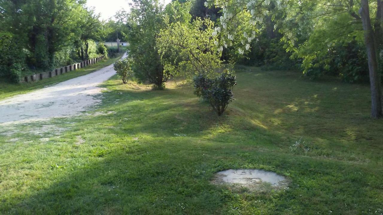 Bed And Breakfast Sile E Natura Sant'Elena di Silea ภายนอก รูปภาพ